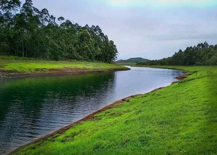 Mambilla Plateau
