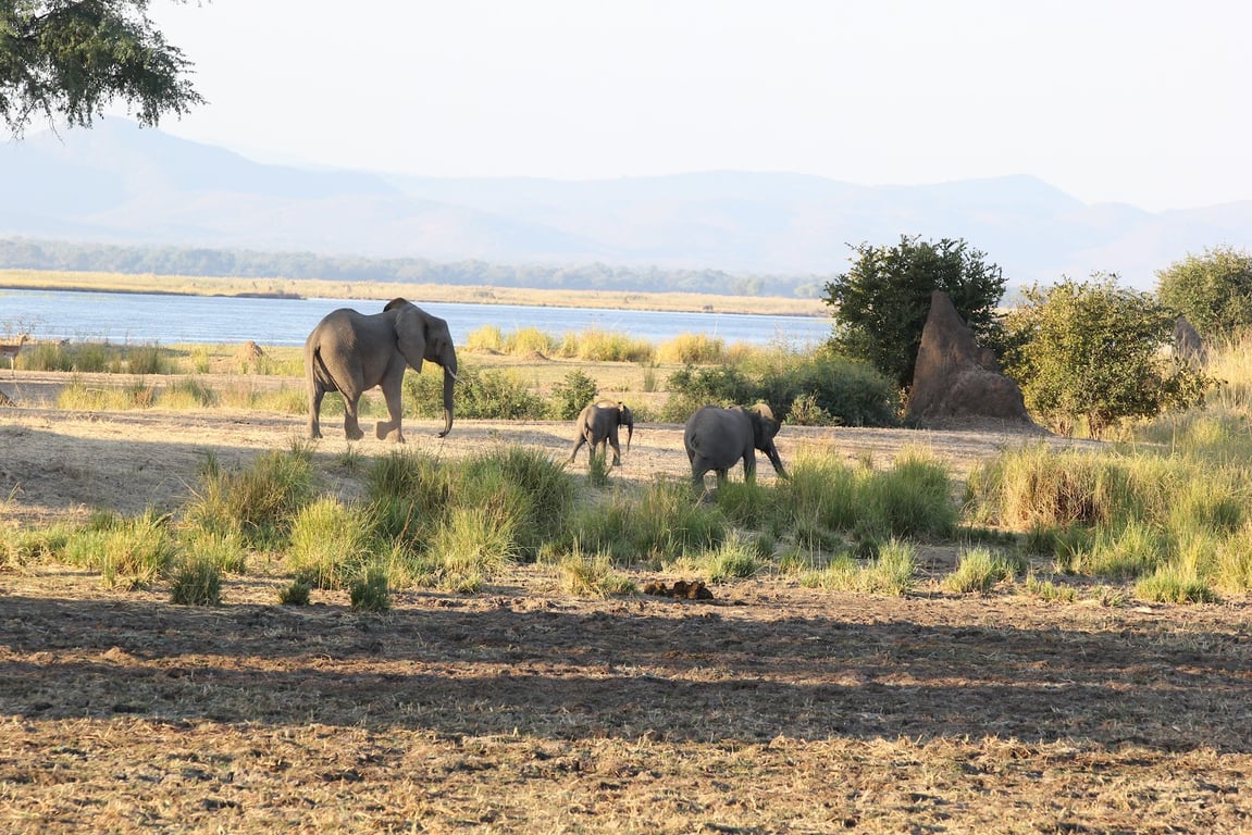 Mana Pools National Park