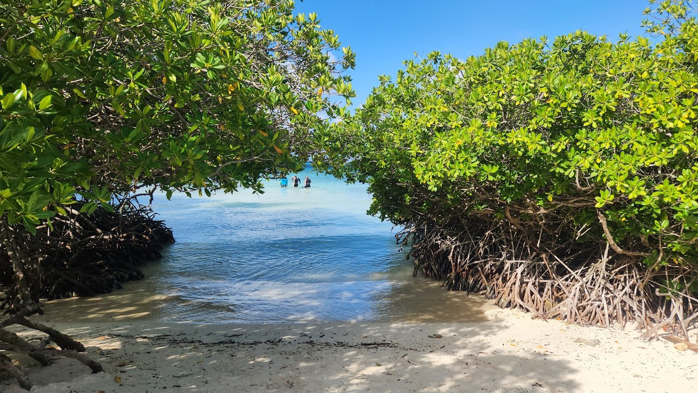 Mangel Halto Beach