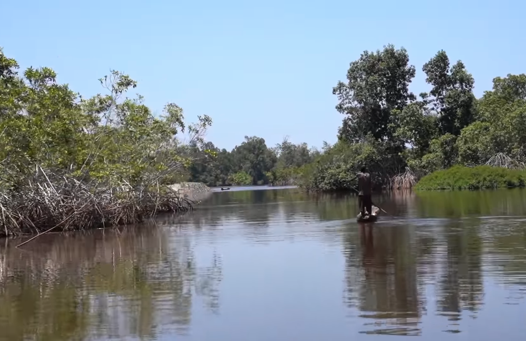 Mangroves National Park