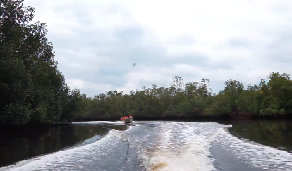 Mangroves National Park
