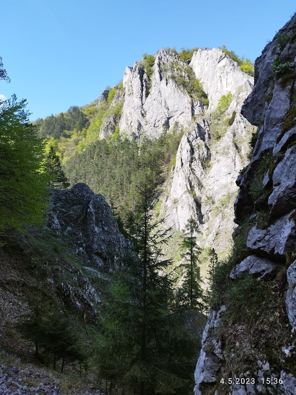 Manínska Tiesňava