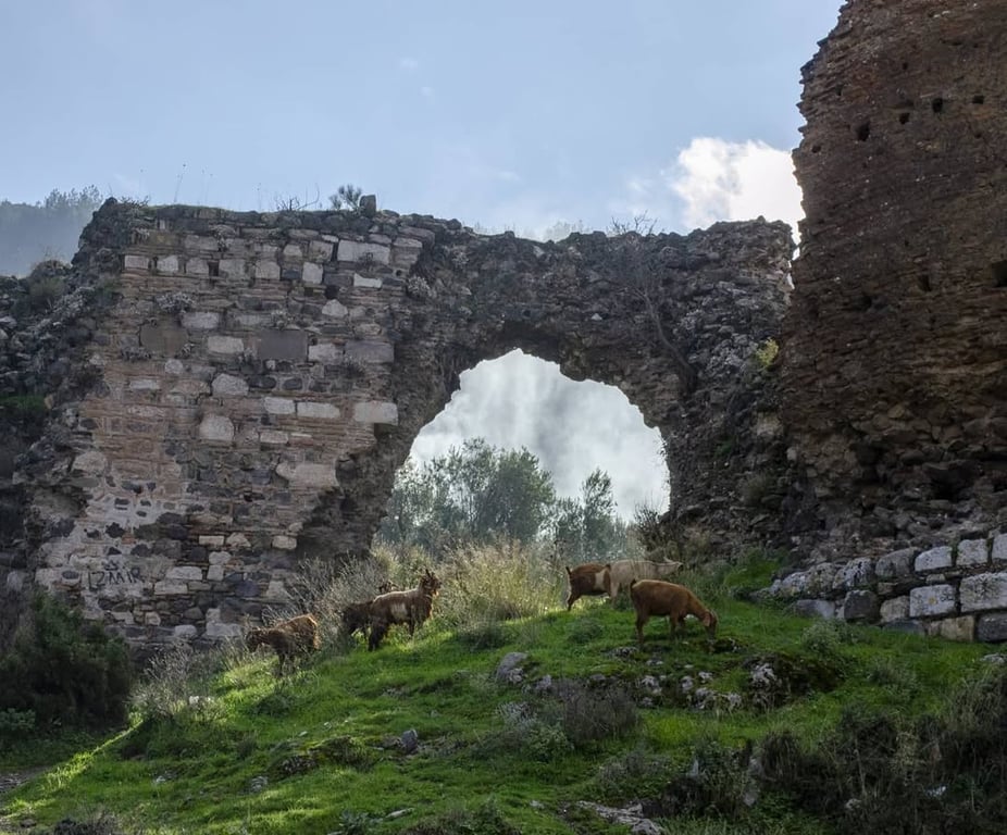 Manisa Kalesi