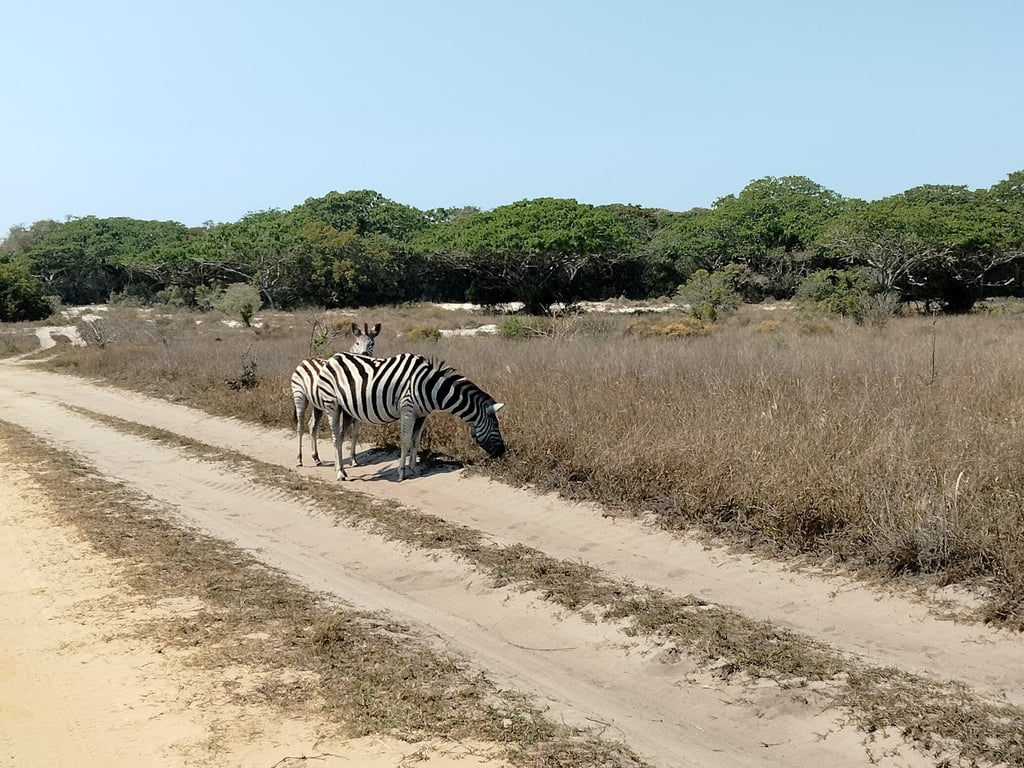Maputo Special Reserve