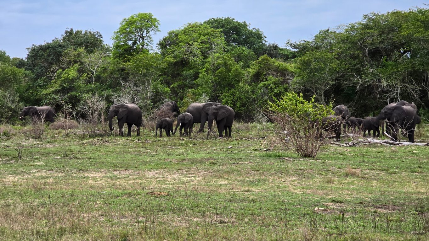 Maputo Special Reserve