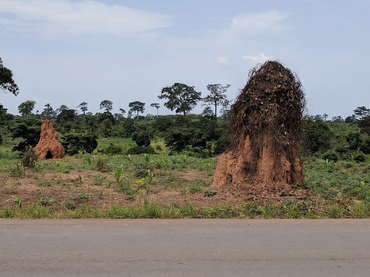 Marahoué National Park