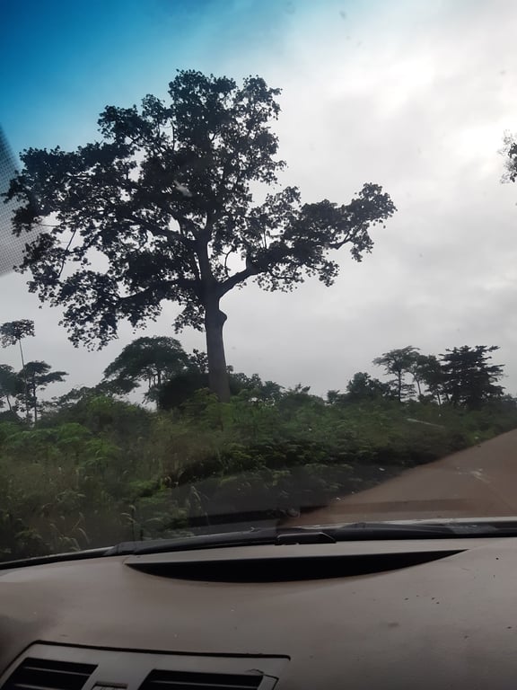 Marahoué National Park