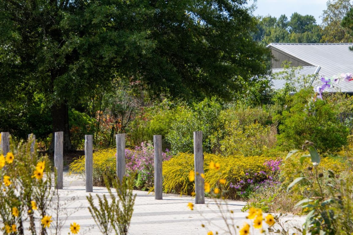 Adkins Arboretum