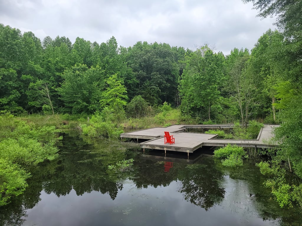 Adkins Arboretum