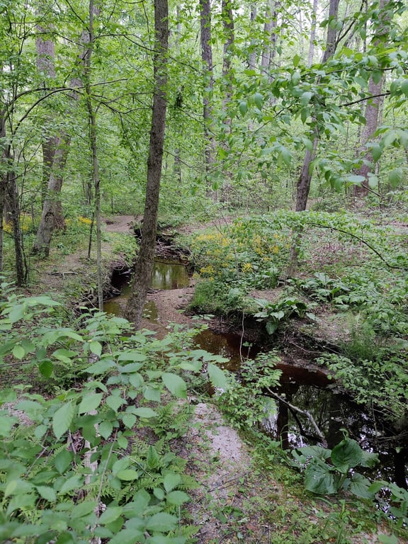 Adkins Arboretum