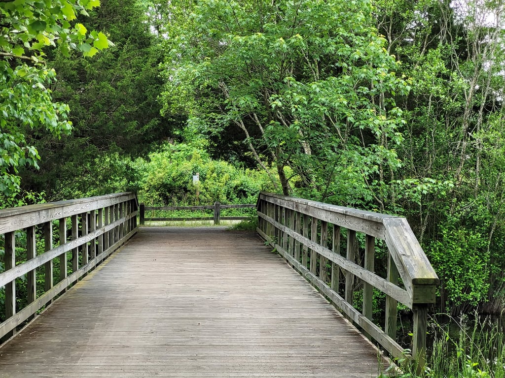 Adkins Arboretum
