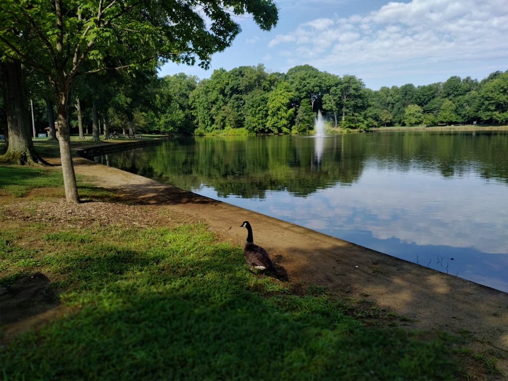 Allen Pond Park