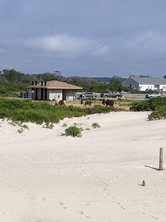 Assateague Island National Seashore