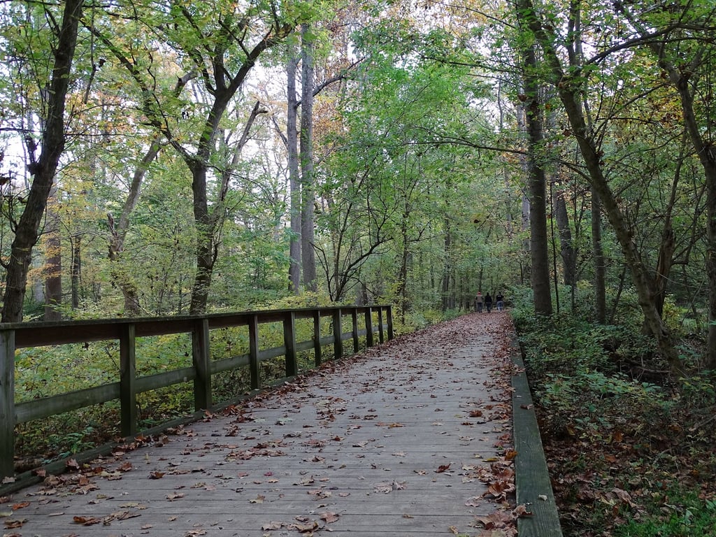 Black Hill Regional Park