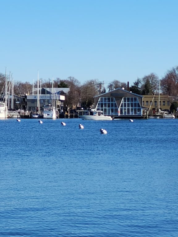 City Dock & Waterfront