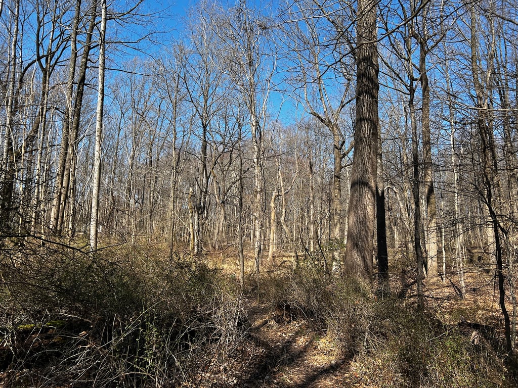 Cromwell Valley Park