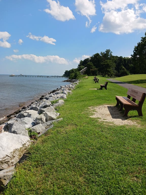 Downs Park