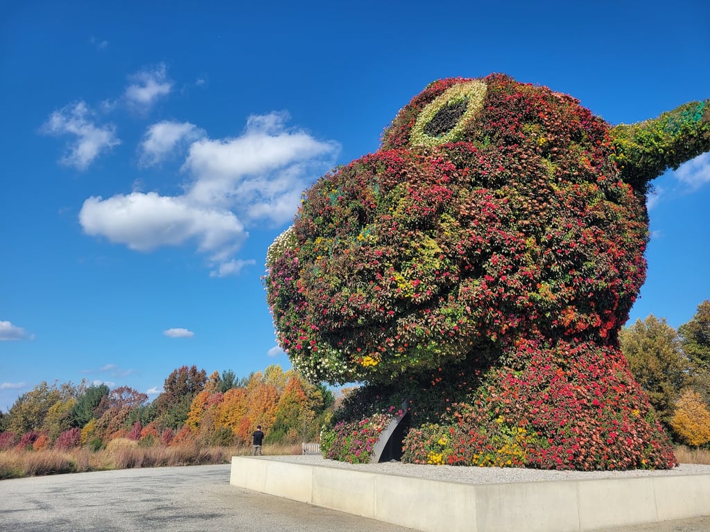 Glenstone Museum