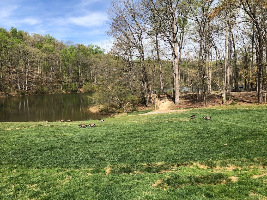 Lake Needwood Park