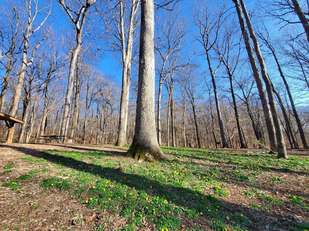 Lake Needwood Park
