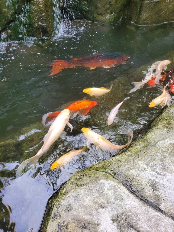 Rawlings Conservatory