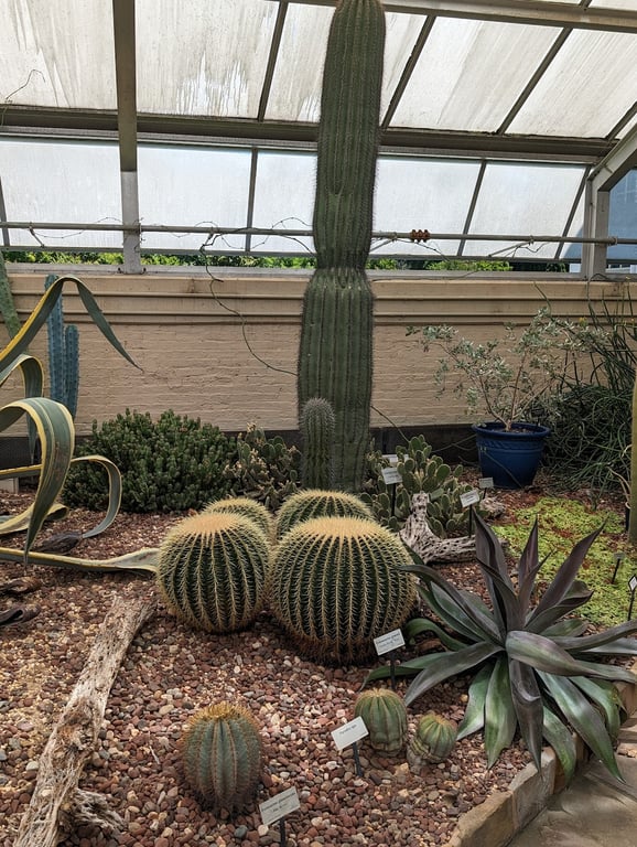 Rawlings Conservatory