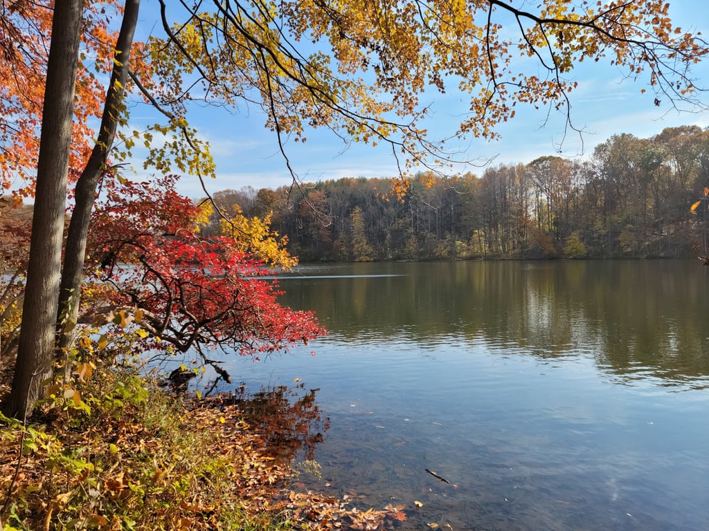 Seneca Creek State Park