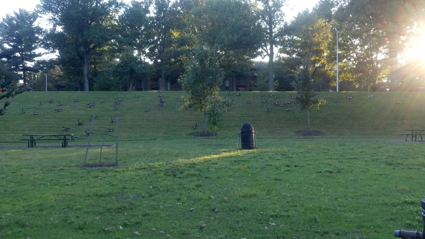 South Valley Park