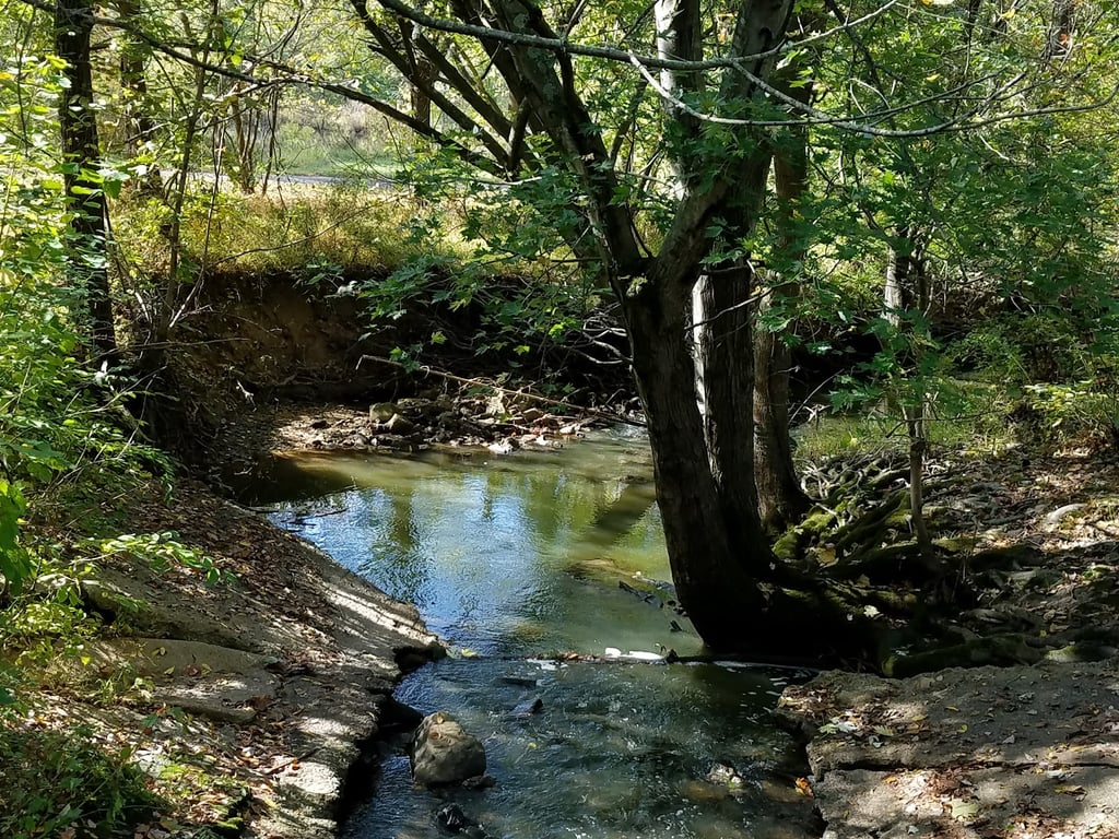 South Valley Park