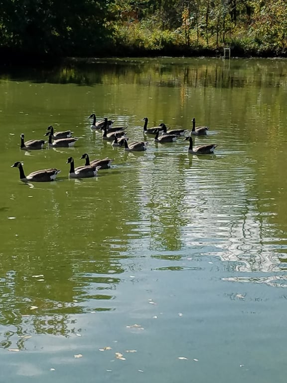 South Valley Park