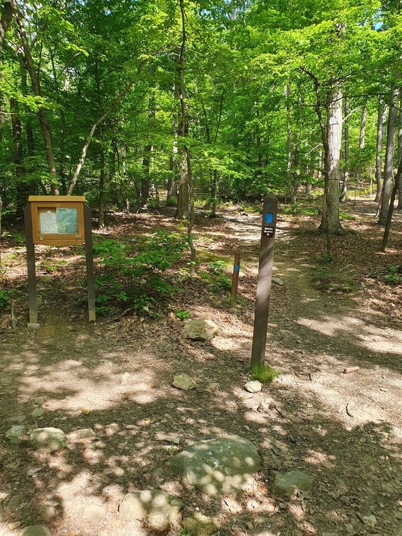 Sugarloaf Mountain