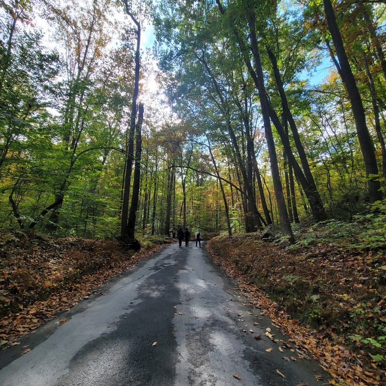 Sugarloaf Mountain