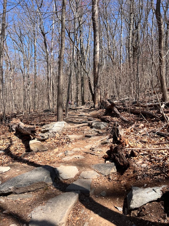Weverton Cliffs