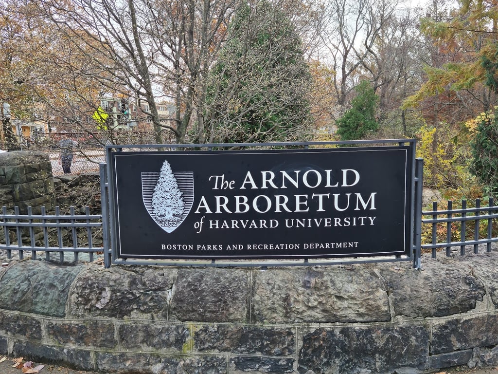 Arnold Arboretum