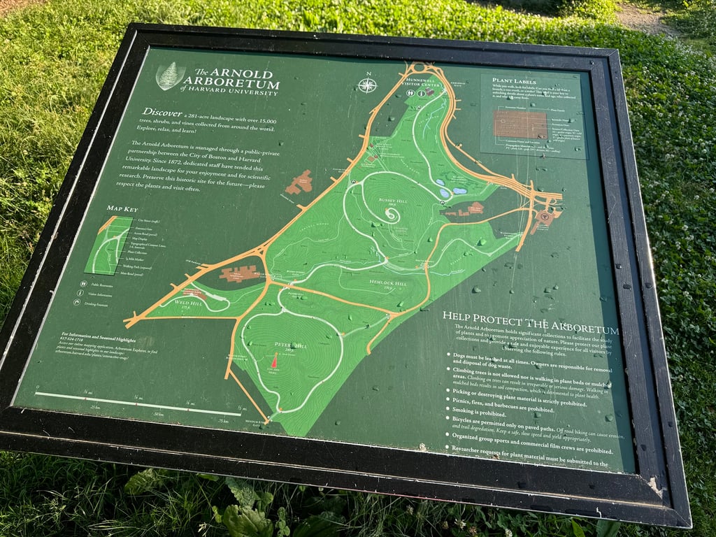 Arnold Arboretum