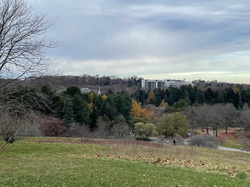 Arnold Arboretum
