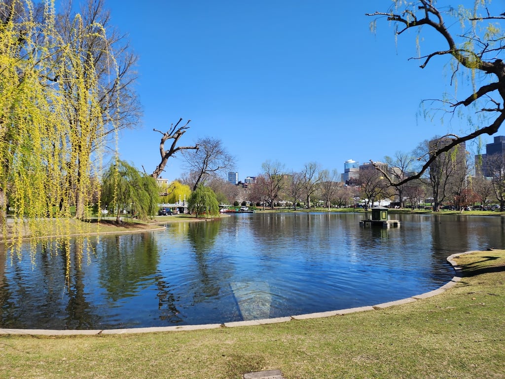Boston Public Garden