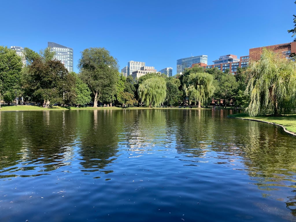 Boston Public Garden