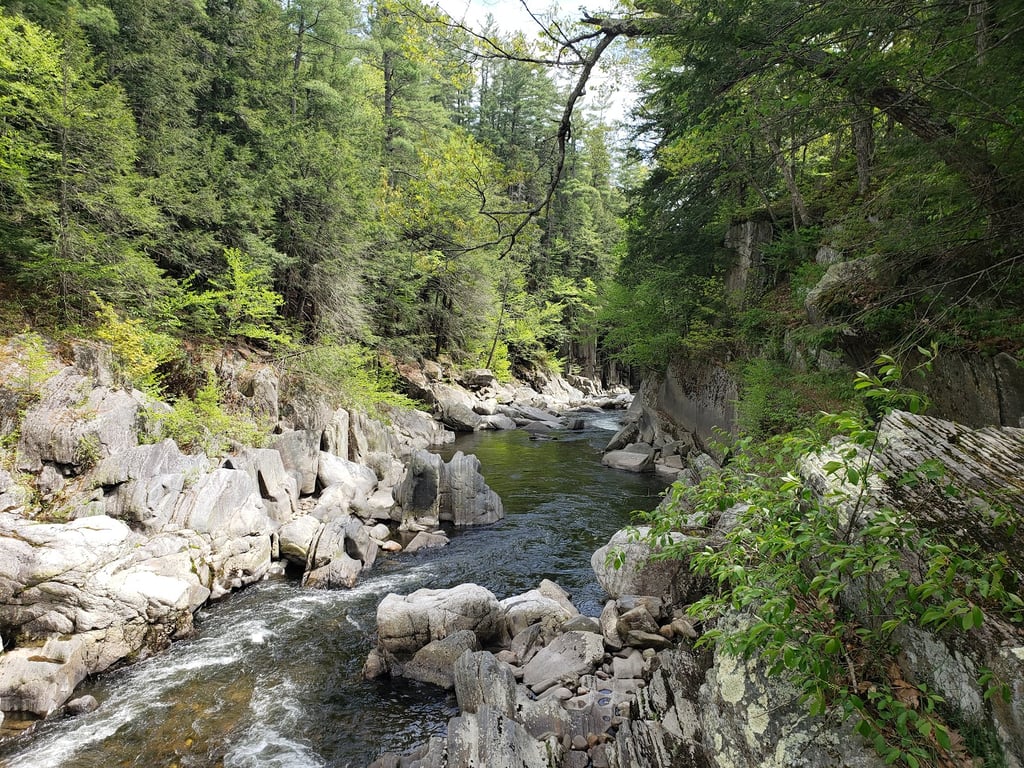 Chesterfield Gorge