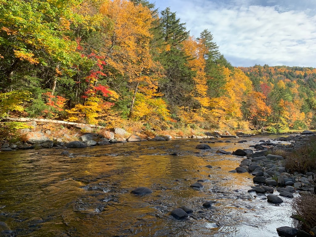 Chesterfield Gorge