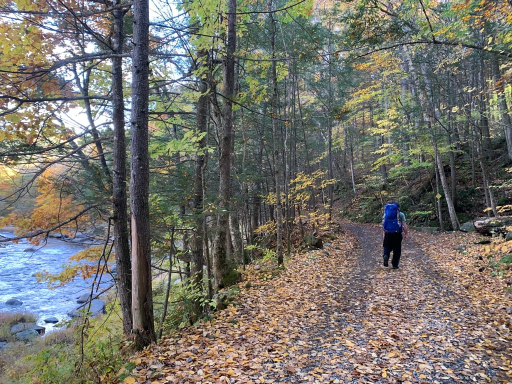 Chesterfield Gorge