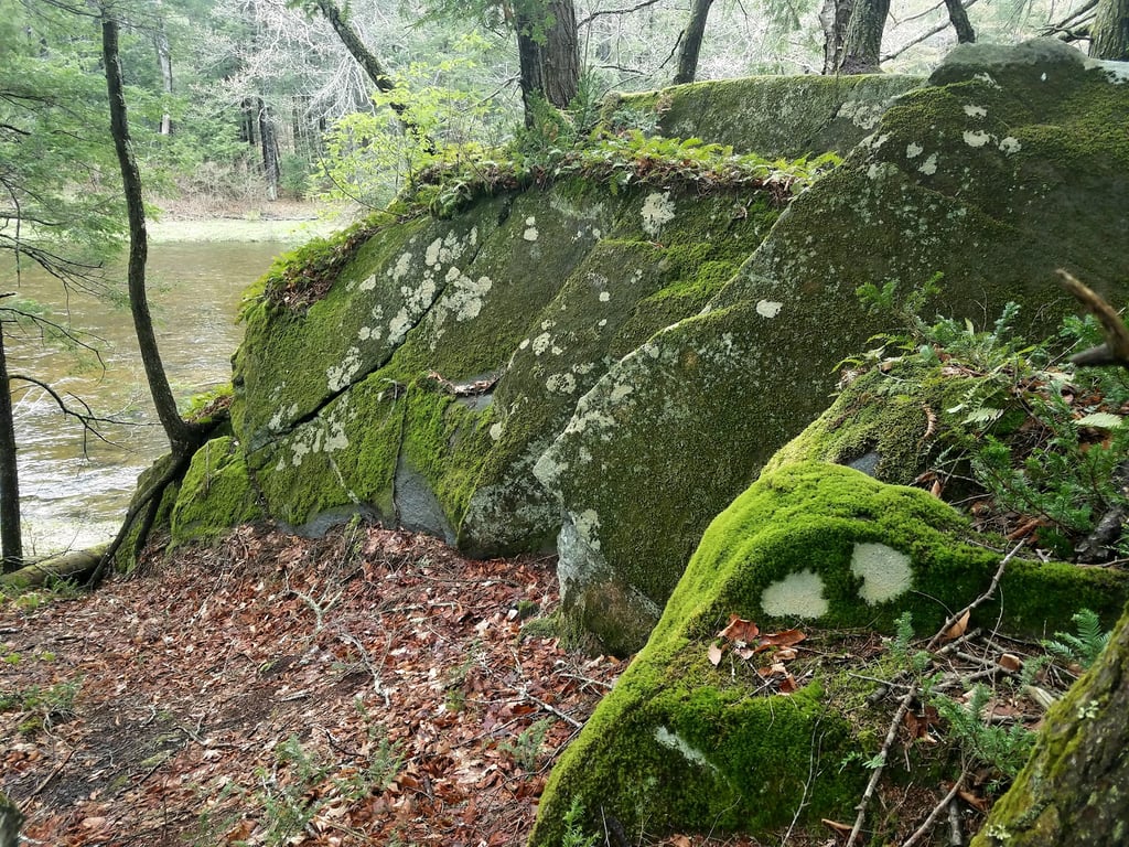 Chesterfield Gorge