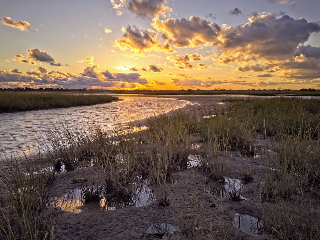 Coskata-Coatue Wildlife Refuge