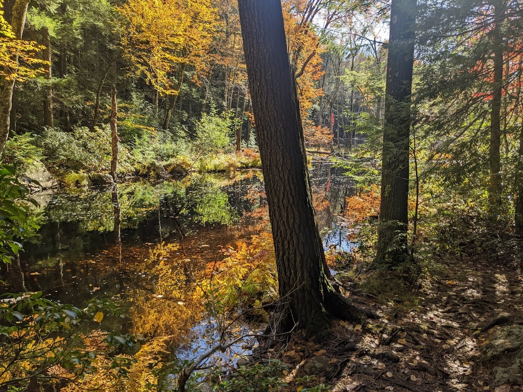 Doane’s Falls