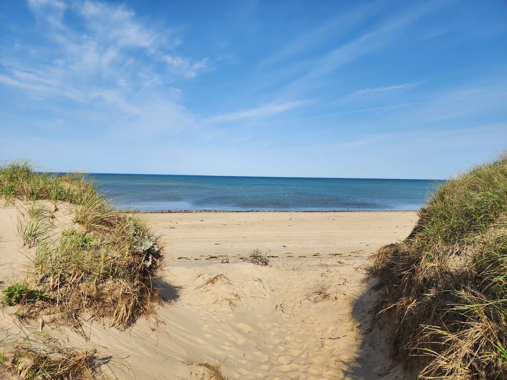 Great Island Trail