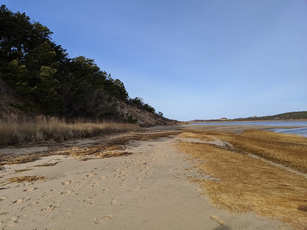 Great Island Trail