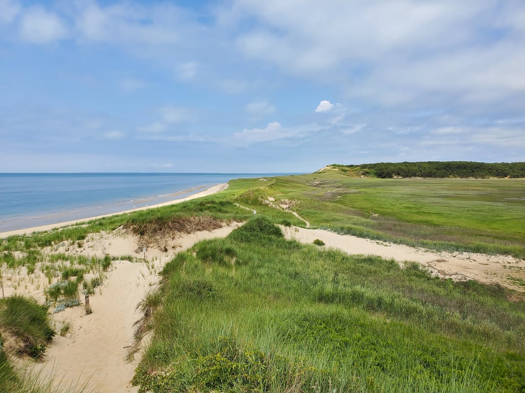 Great Island Trail