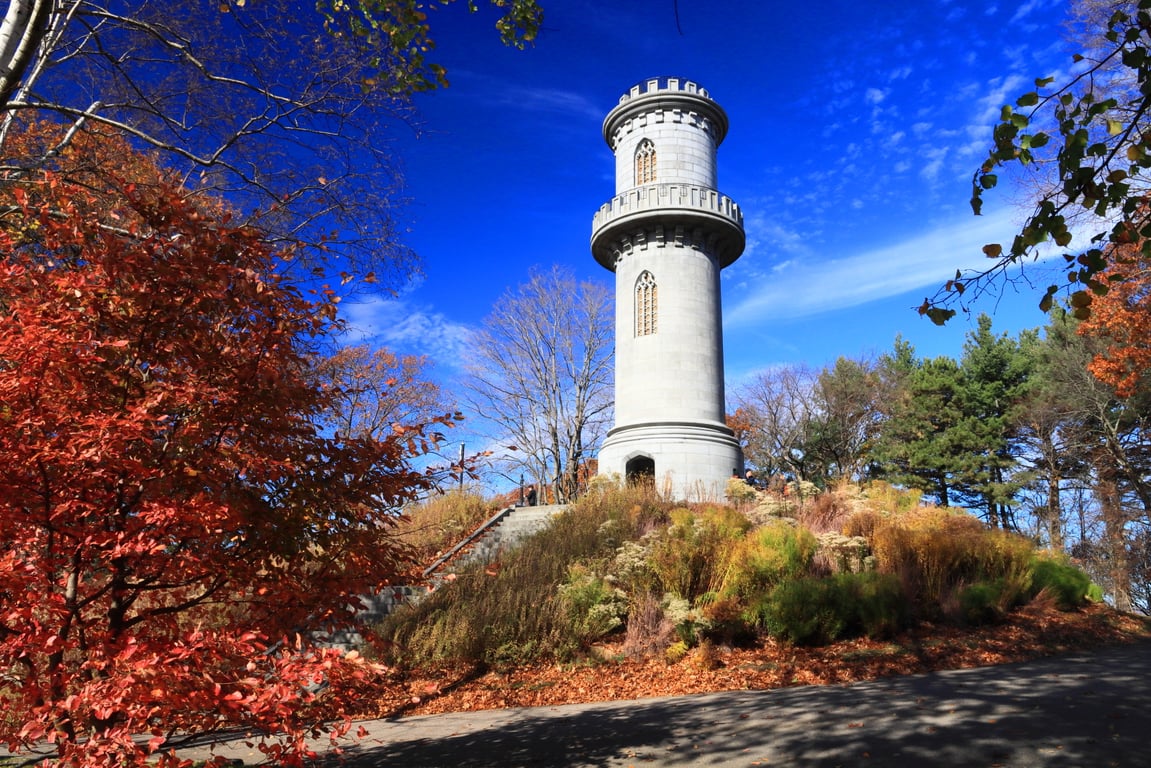 Mount Auburn Cemetery