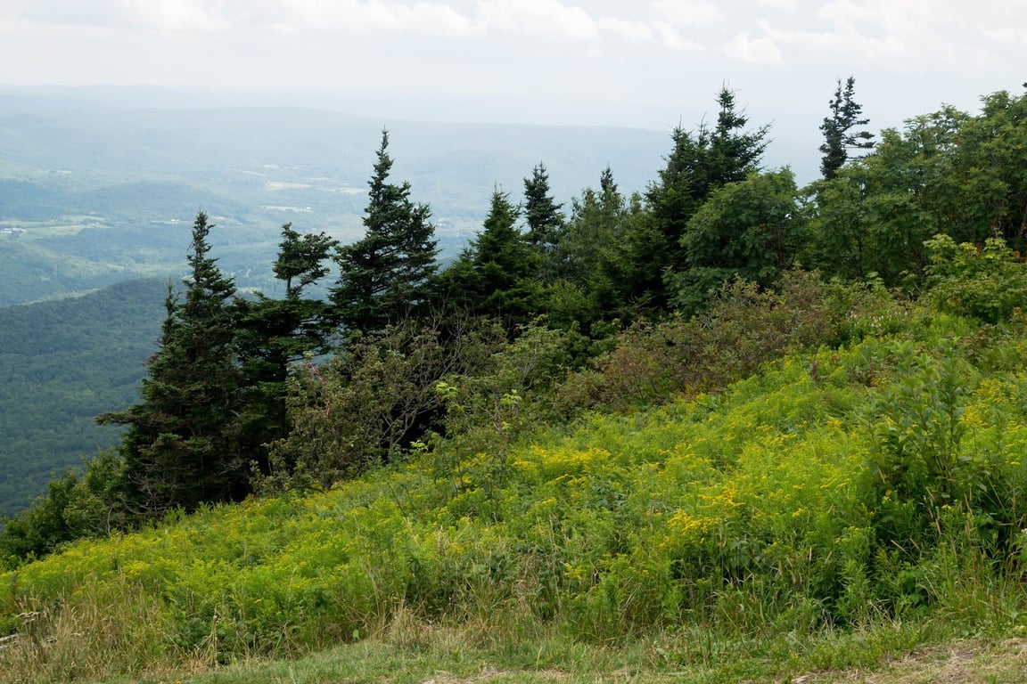 Mount Greylock Summit