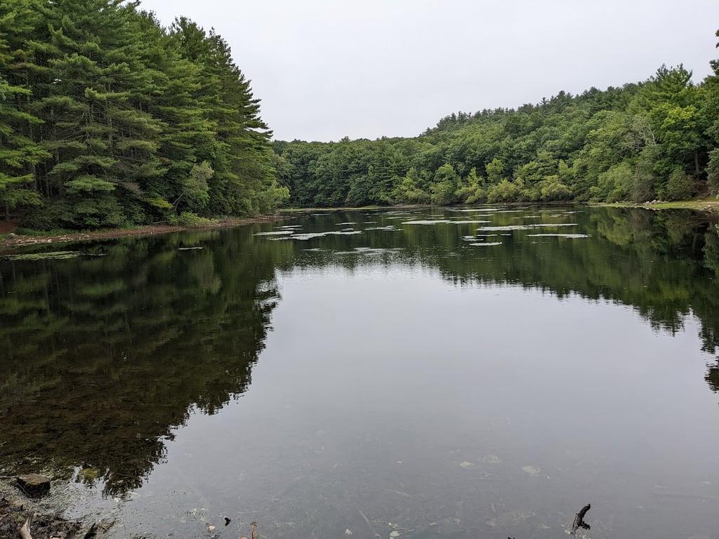 Rocky Woods Reservation